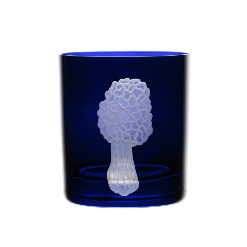 Mushrooms Morel