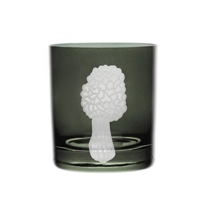 Mushrooms Morel