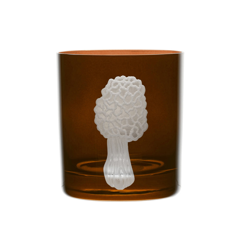 Mushrooms Morel