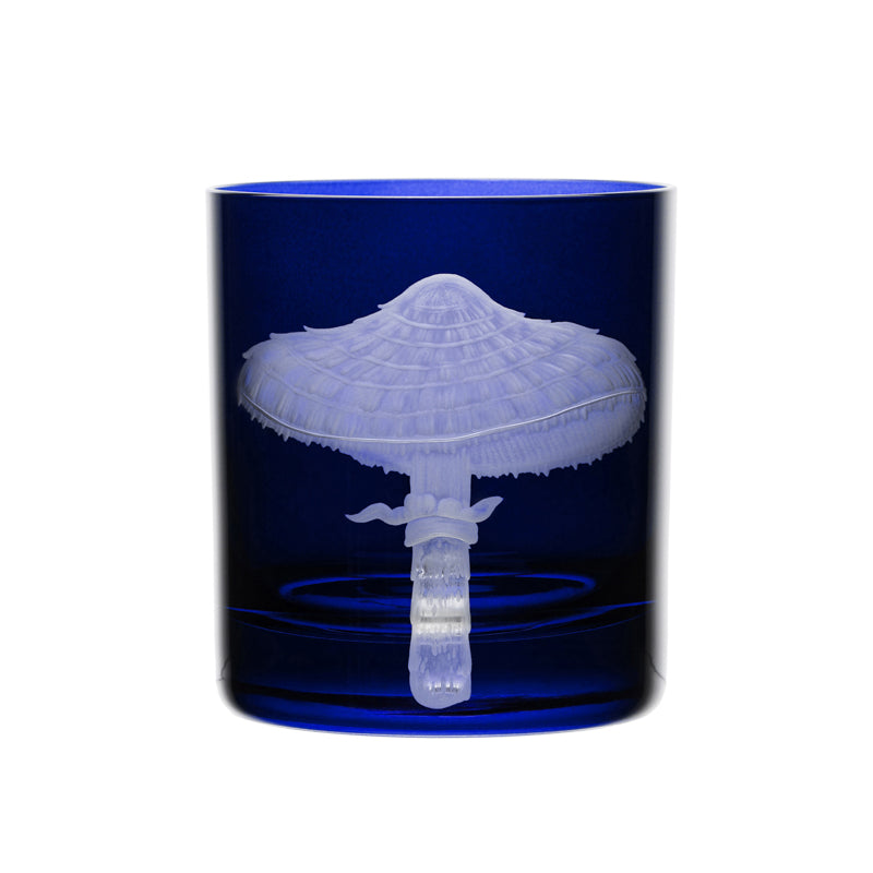 Mushrooms Parasol