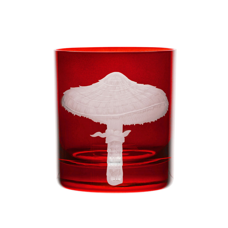 Mushrooms Parasol