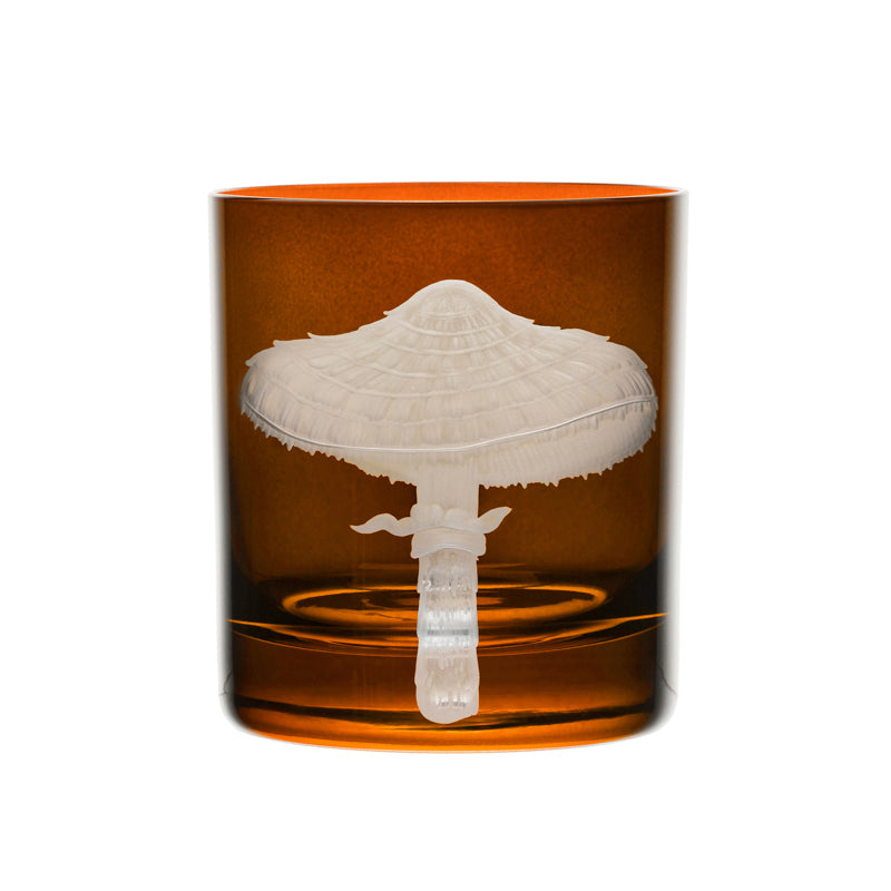 Mushrooms Parasol