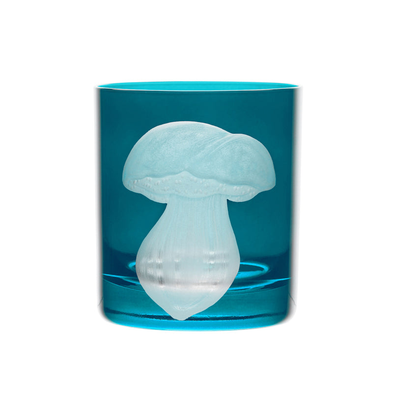 Mushrooms Summer Cep