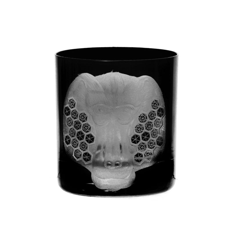 African Safari Baboon