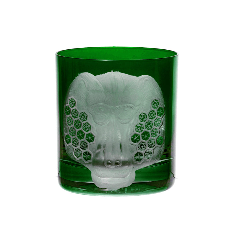 African Safari Baboon