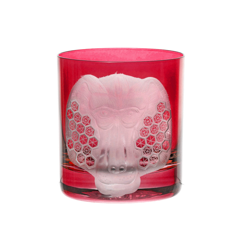 African Safari Baboon