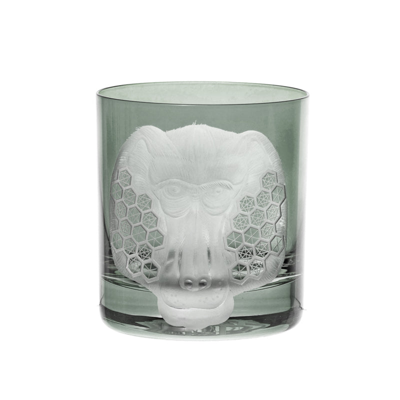 African Safari Baboon