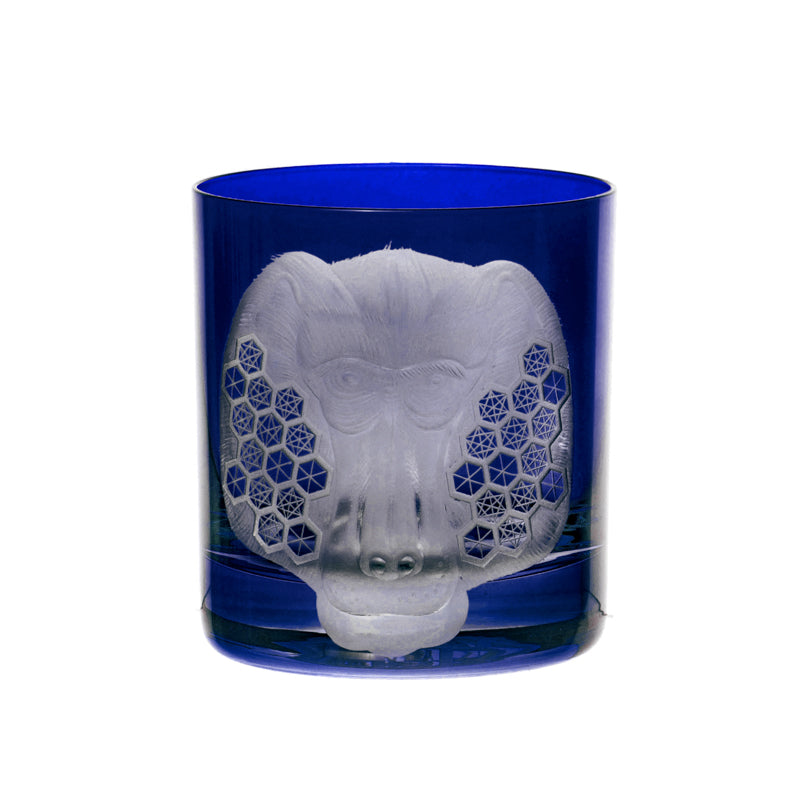 African Safari Baboon