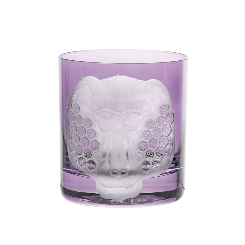 African Safari Baboon