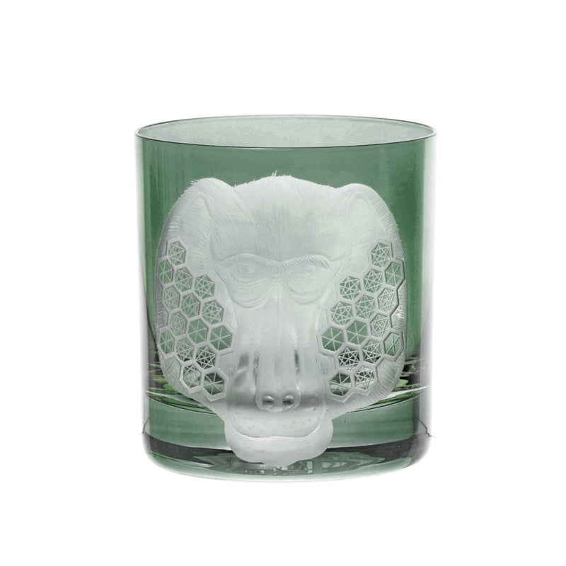 African Safari Baboon