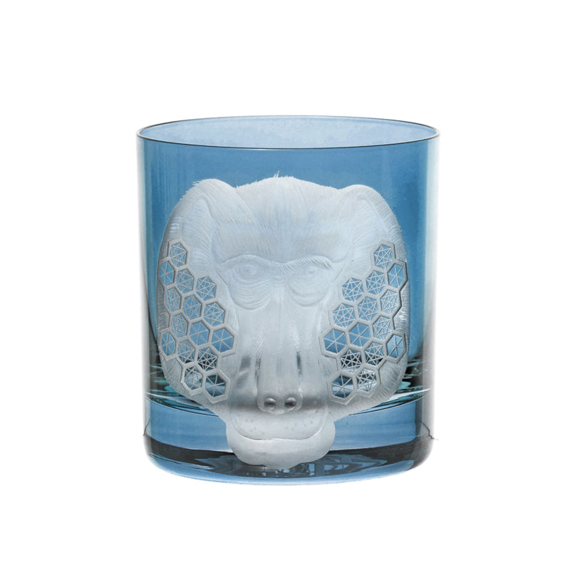 African Safari Baboon