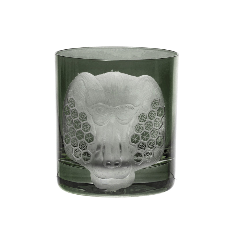 African Safari Baboon