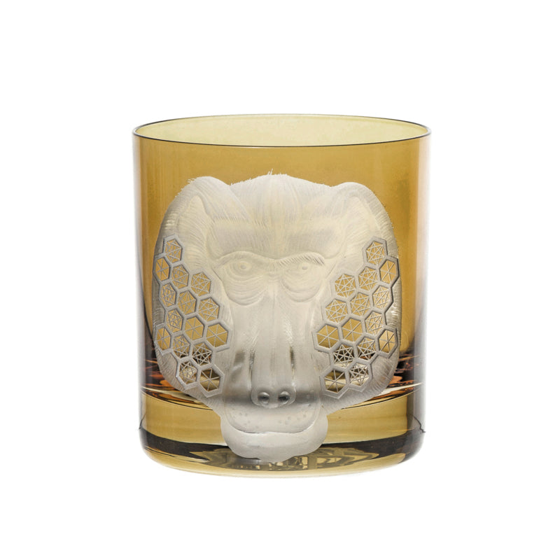 African Safari Baboon