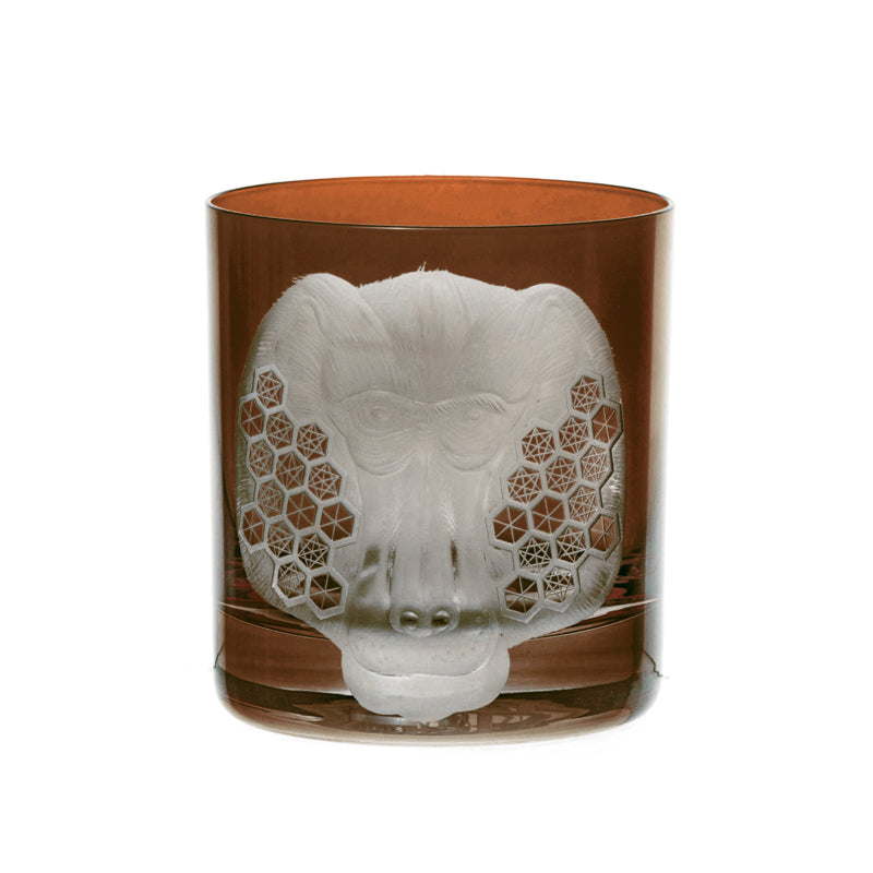 African Safari Baboon