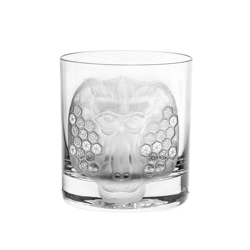 African Safari Baboon