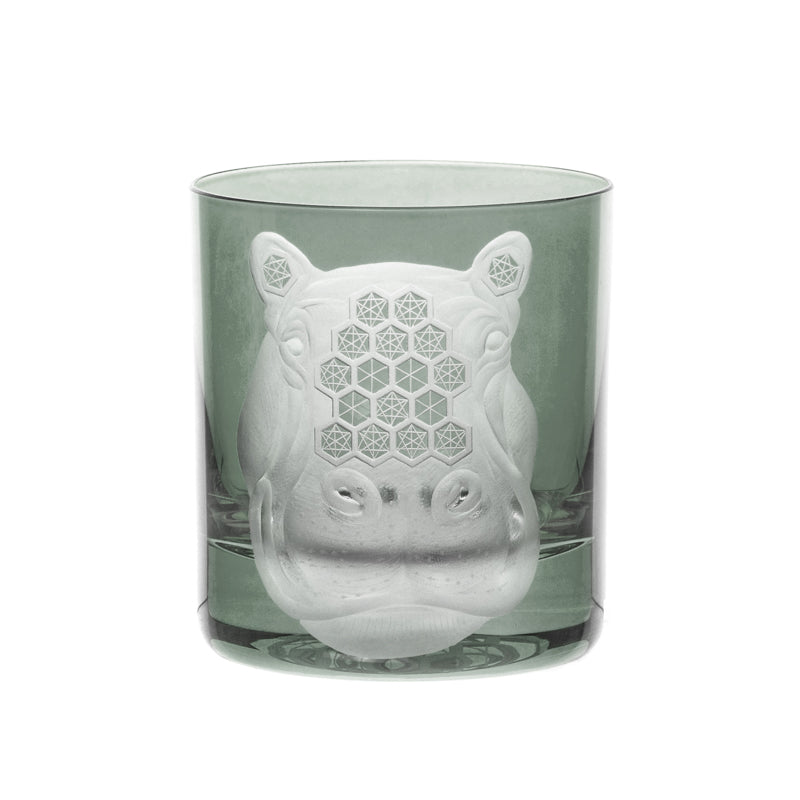 African Safari Hippopotamus