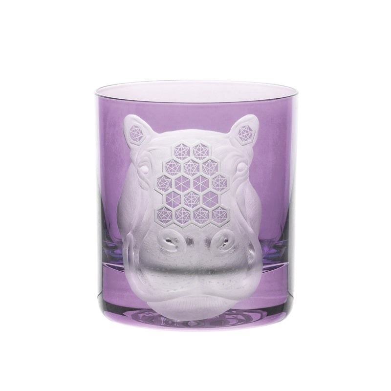 African Safari Hippopotamus