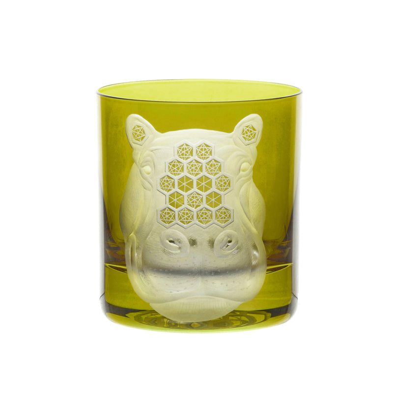 African Safari Hippopotamus