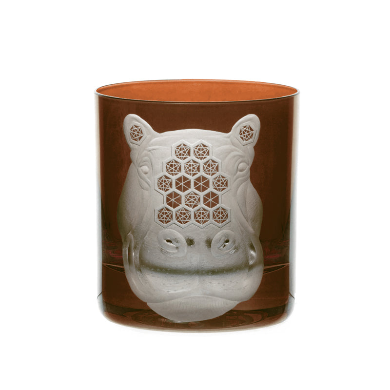 African Safari Hippopotamus