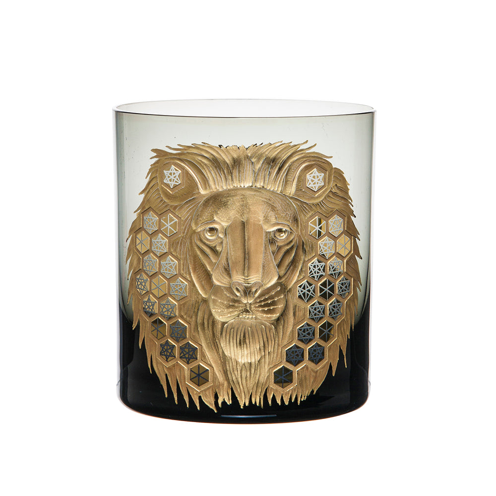 African Safari Lion