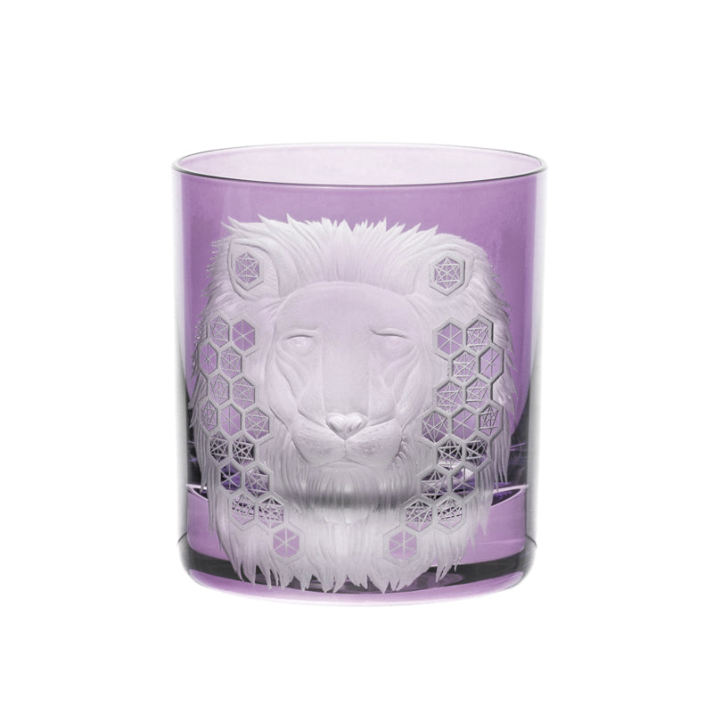 African Safari Lion