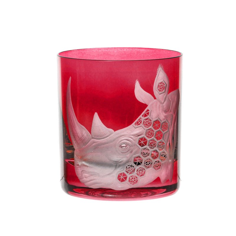 African Safari Rhinoceros