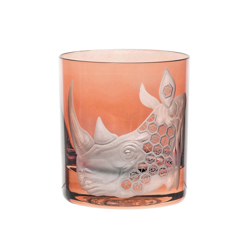 African Safari Rhinoceros