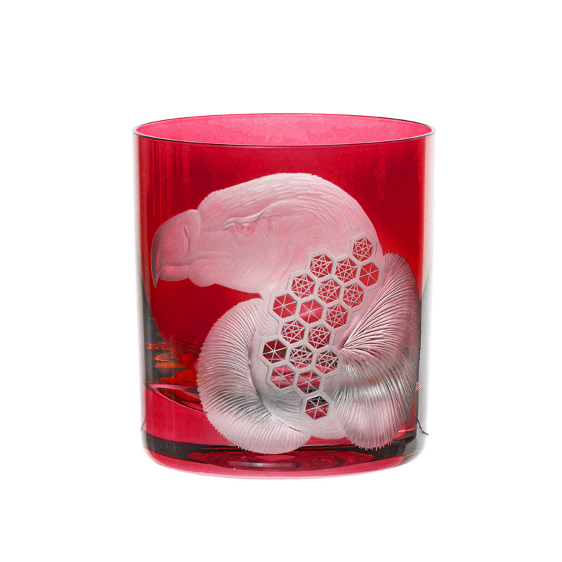 African Safari Vulture