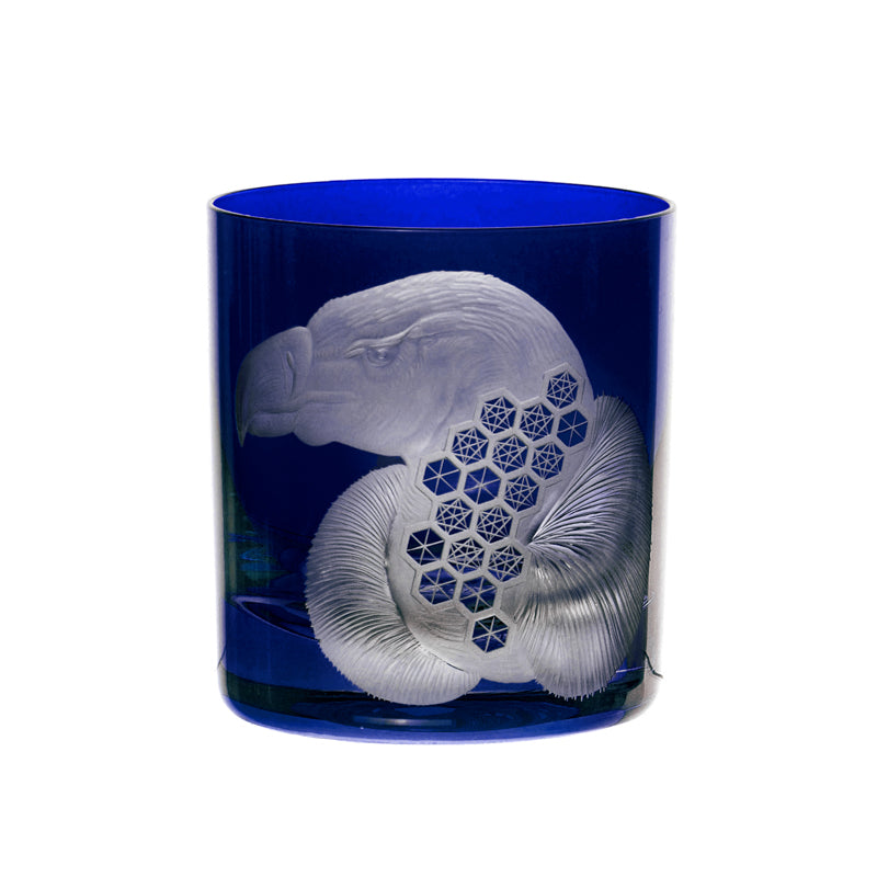 African Safari Vulture