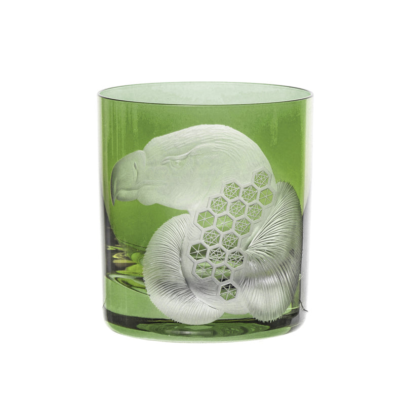 African Safari Vulture