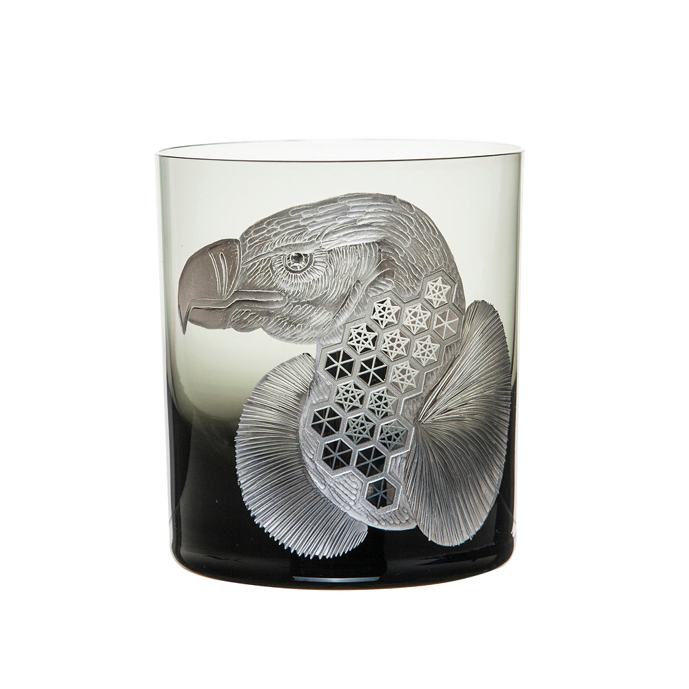 African Safari Vulture