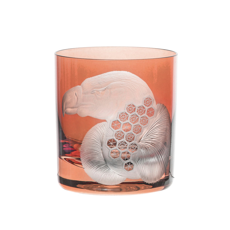 African Safari Vulture