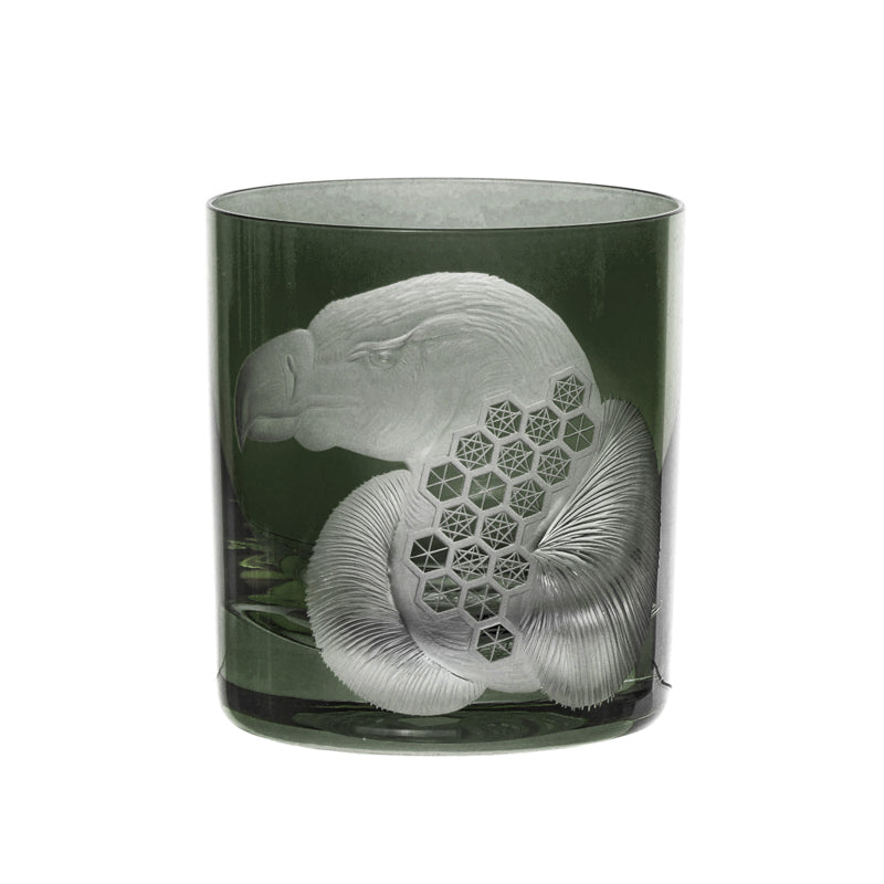 African Safari Vulture