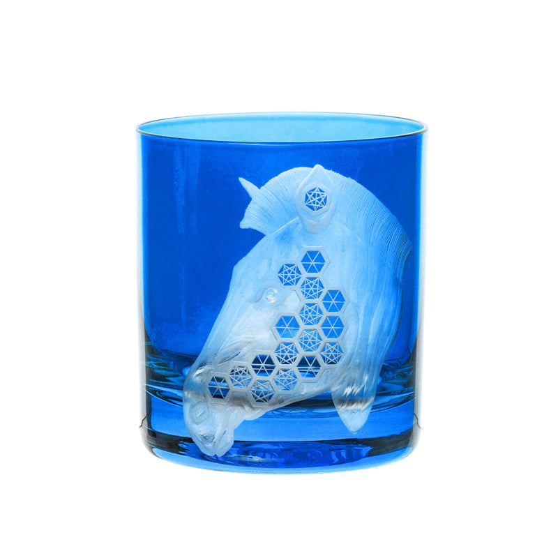 African Safari Zebra