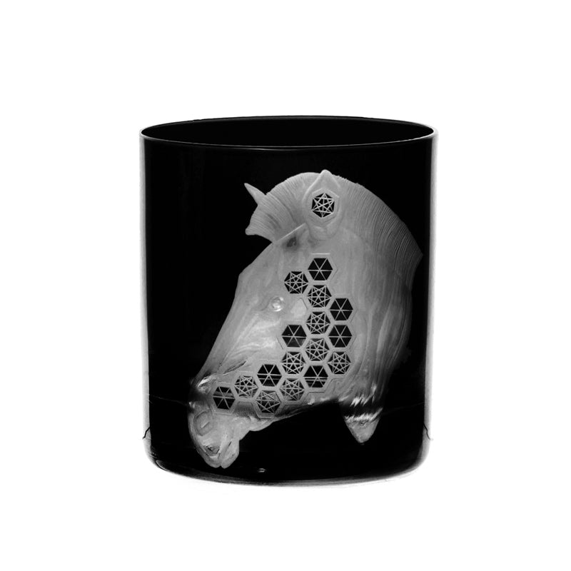 African Safari Zebra