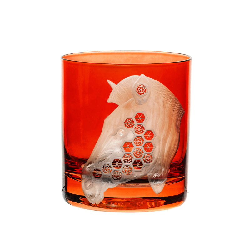 African Safari Zebra