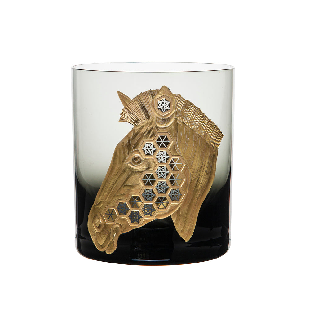 African Safari Zebra