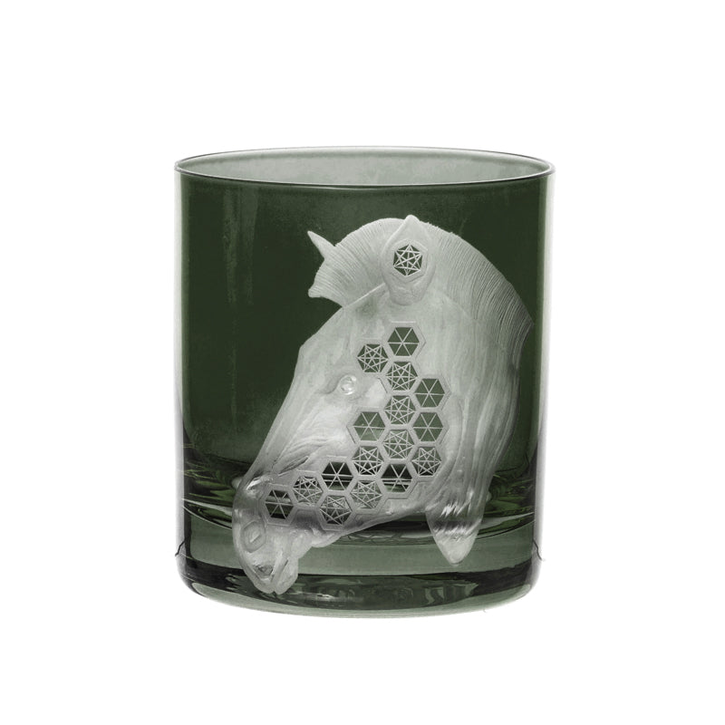 African Safari Zebra