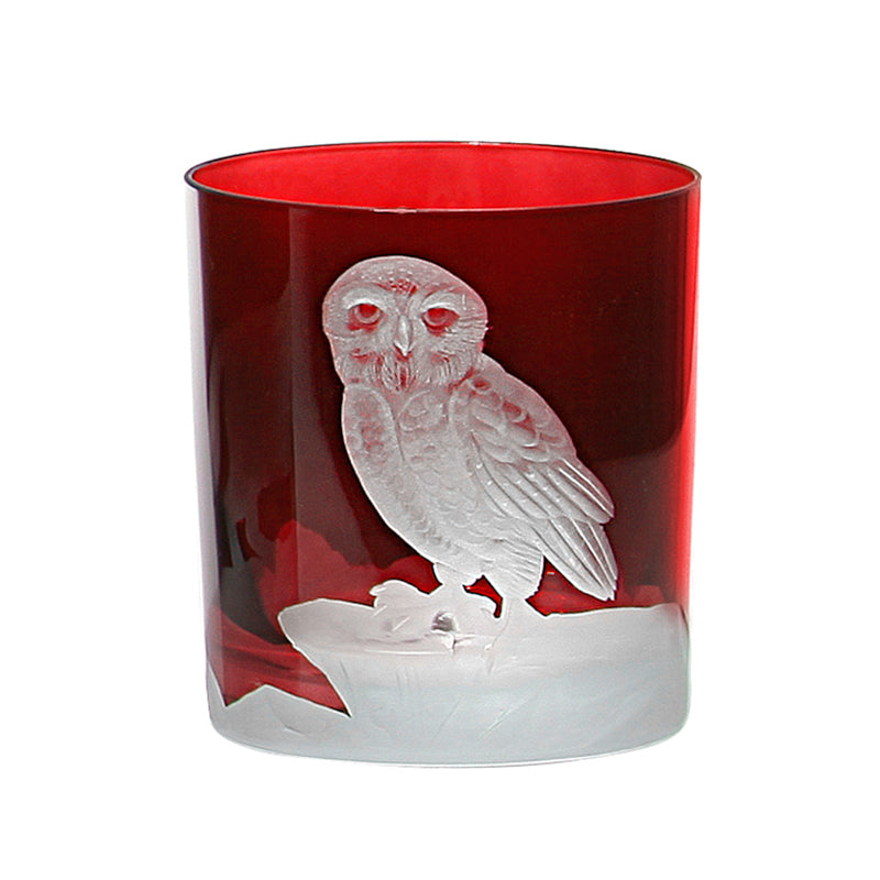 Arctic Snow Owl