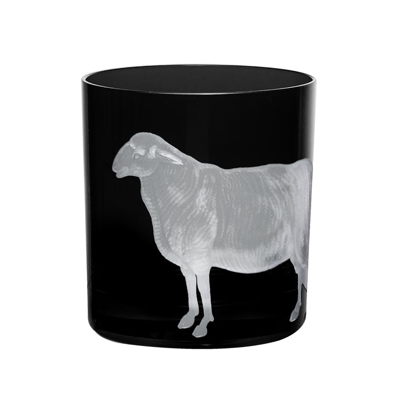 Barnyard Sheep