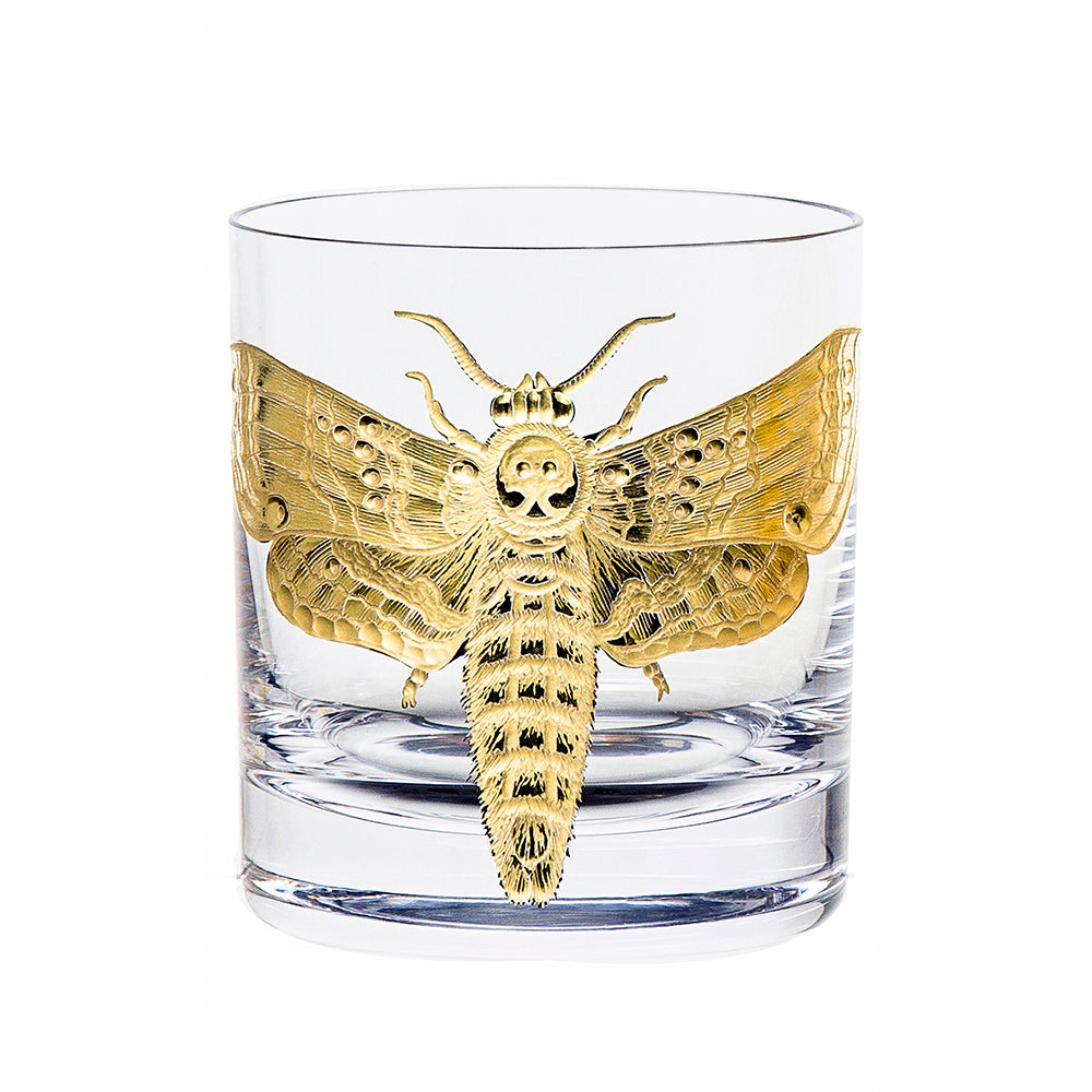 Cabinet of Curiosities Butterfly