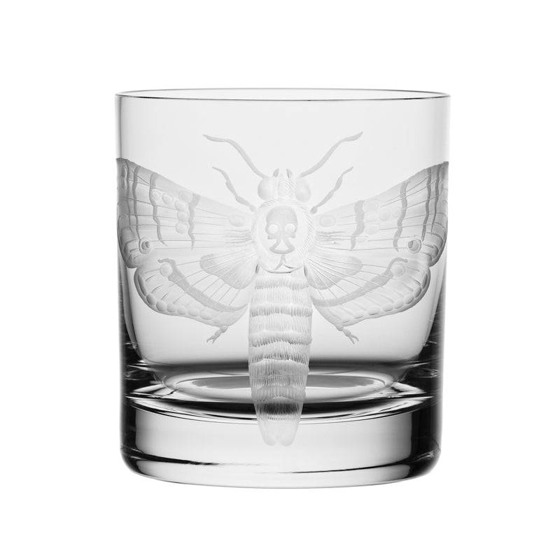 Cabinet of Curiosities Butterfly