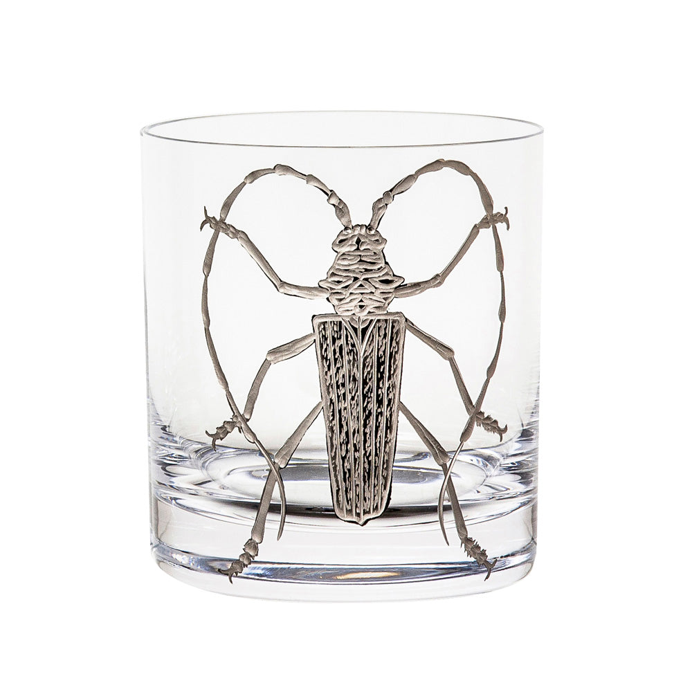 Cabinet of Curiosities Beetle