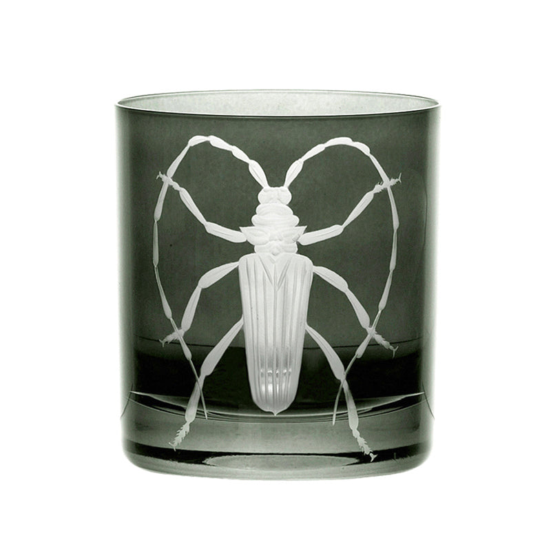 Cabinet of Curiosities Beetle