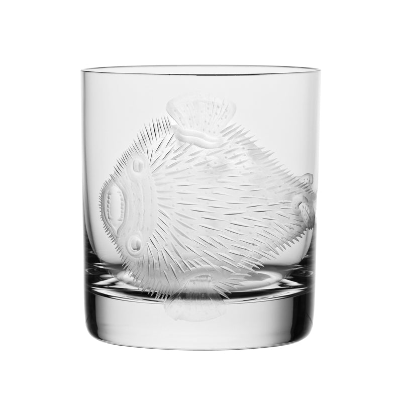 Cabinet of Curiosities Blowfish