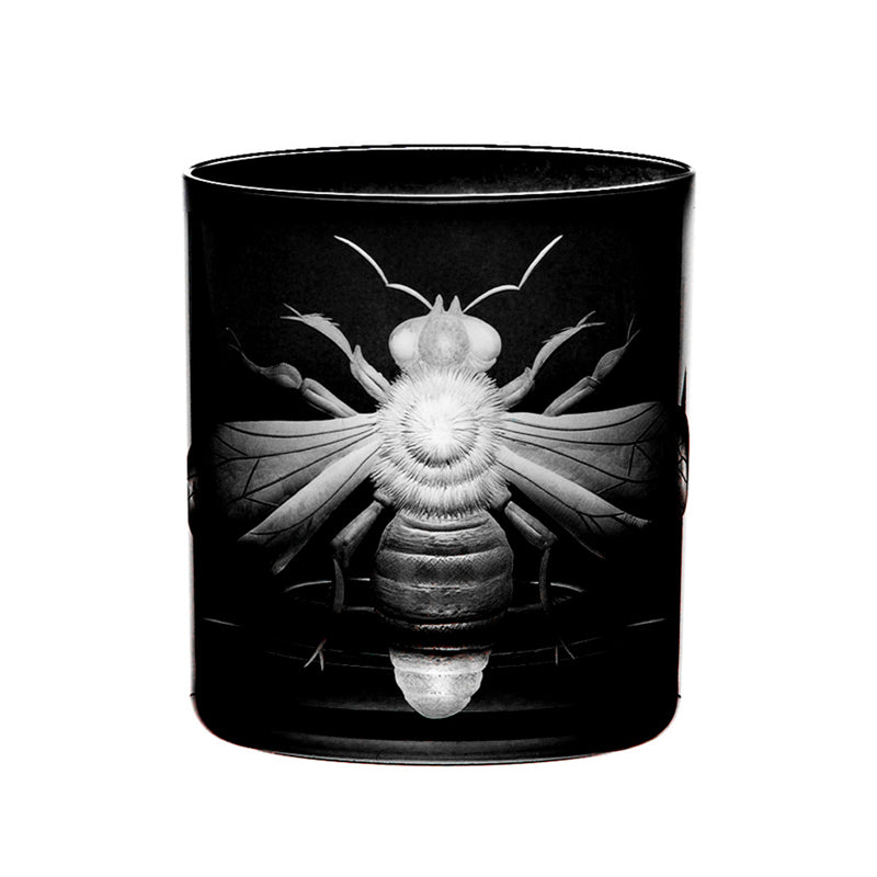 Cabinet of Curiosities Imperial Bee