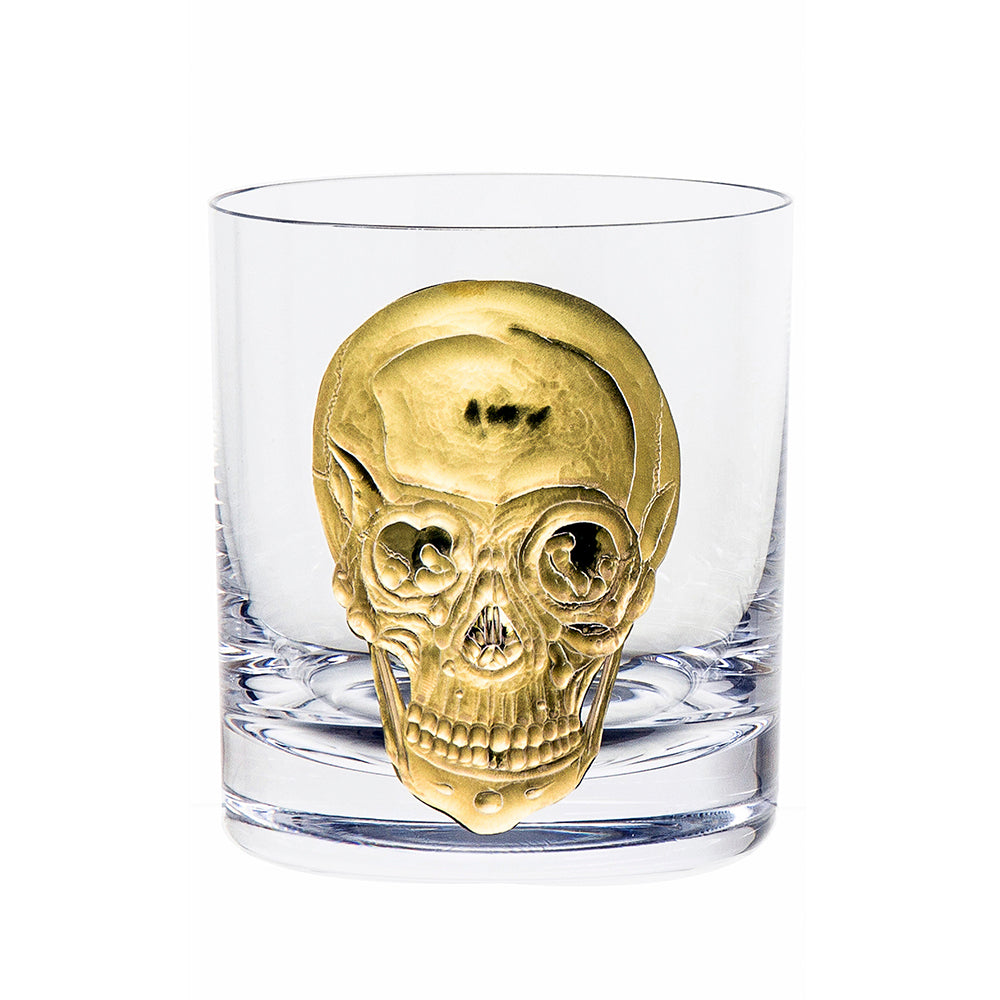 Cabinet of Curiosities Skull