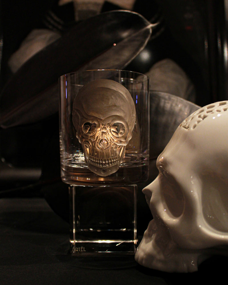 Cabinet of Curiosities Skull