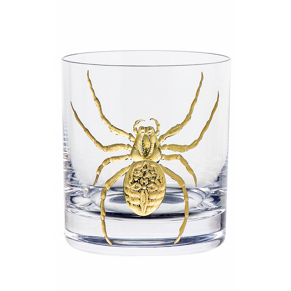 Cabinet of Curiosities Spider