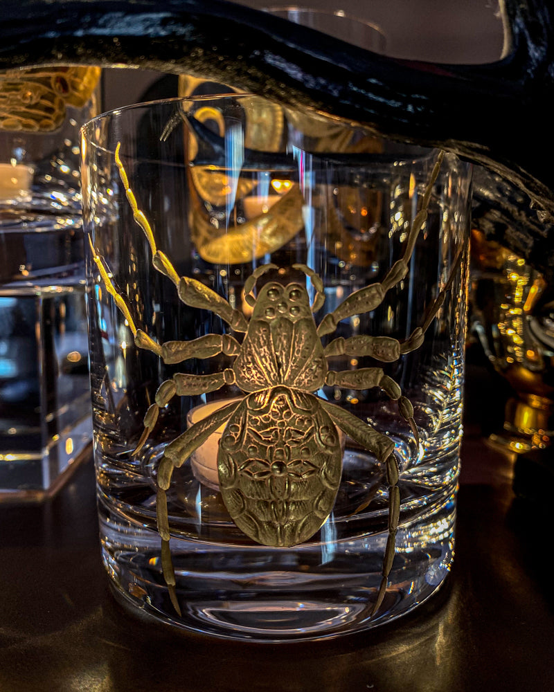 Cabinet of Curiosities Spider